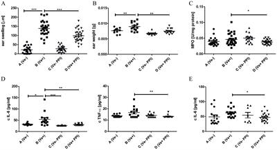 Proton pump inhibitor alters Th17/Treg balance and induces gut dysbiosis suppressing contact hypersensitivity reaction in mice